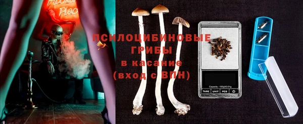 спайс Алексин
