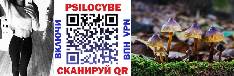 сколько стоит  Клин  Псилоцибиновые грибы мухоморы 